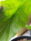 20210620_065820.jpg