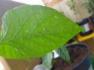 20210620_065825.jpg