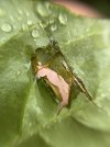 IMG_5605.jpeg