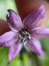 IMG_5617.jpeg