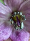 IMG_5618.jpeg