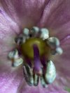 IMG_5619.jpeg