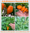 A2E8AD5F-3FBC-4286-ACCD-E8115EF8C113.png