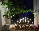 IMG_20211202_171037~2.jpg