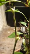 20220104_164522.jpg