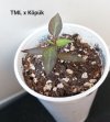 20220323_093243.jpg