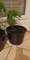 IMG_20220629_230713.jpg