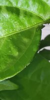 IMG_20220703_200717.jpg