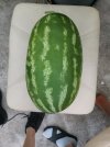IMG_20220817_191603.jpg