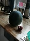 IMG_20220820_185300.jpg