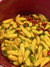 IMG_2807.jpeg