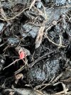 IMG_5818.jpeg