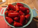 045 - gewaschen.jpg
