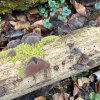 IMG_5187.jpeg