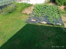 IMG_20240720_110551.jpg