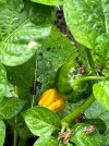 IMG_5195.jpeg