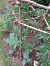 IMG_20250615_193623.jpg