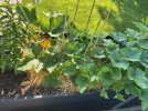 IMG_3599.jpeg