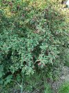 IMG_20250618_184629.jpg