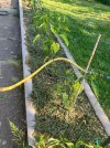 IMG_1720.jpeg