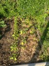 IMG_1723.jpeg
