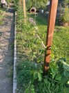 IMG_1724.jpeg