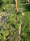 IMG_1725.jpeg