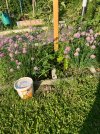 IMG_1728.jpeg
