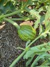 IMG_5902.jpeg