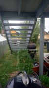 20250626_172735.JPG