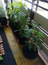 IMG_20250630_122932_268.jpg