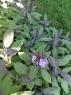 IMG_20250701_091220.jpg