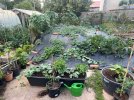 IMG_3394.jpeg