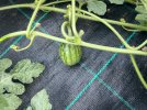 IMG_3400.jpeg