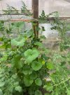 IMG_3402.jpeg