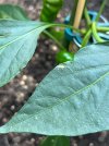IMG_6023.jpeg