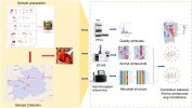 Physicochemical characteristics, flavor profile, and microbial community of commercial traditional fermented chili pepper in Guizhou (Zao pepper)