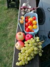 IMG_20250825_184748.jpg