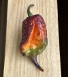 IMG_1151.jpeg