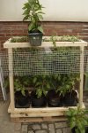 Juli 5 20226 (6).JPG