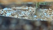 IMG_5204.jpeg