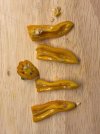 IMG_8885.jpeg