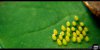 - Yellow Things - 04 - Small.jpg