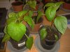 2012-04-01 22.57.23.jpg