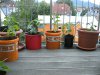 BILD4090 (Kopie).JPG