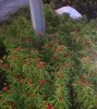 DSCN3268.JPG