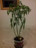 20131120_202849.jpg