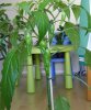DSC03205.JPG