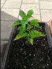 20140723_173802.jpg