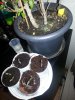 20150221_200436.jpg